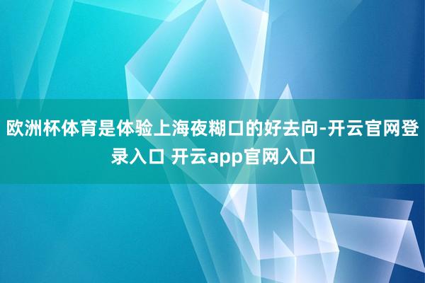 欧洲杯体育是体验上海夜糊口的好去向-开云官网登录入口 开云app官网入口