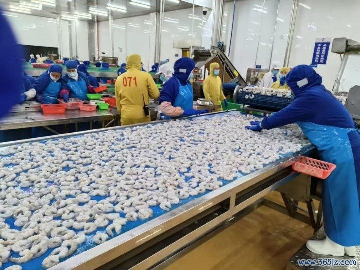 图片9.png
