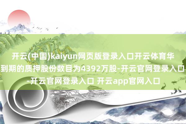 开云(中国)kaiyun网页版登录入口开云体育华大控股将来一年内到期的质押股份数目为4392万股-开云官网登录入口 开云app官网入口