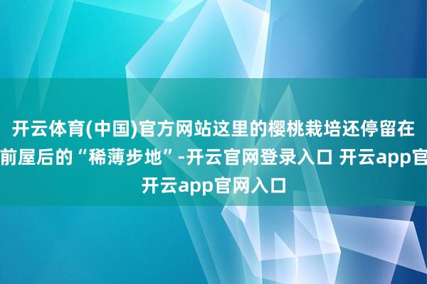 开云体育(中国)官方网站这里的樱桃栽培还停留在农户房前屋后的“稀薄步地”-开云官网登录入口 开云app官网入口
